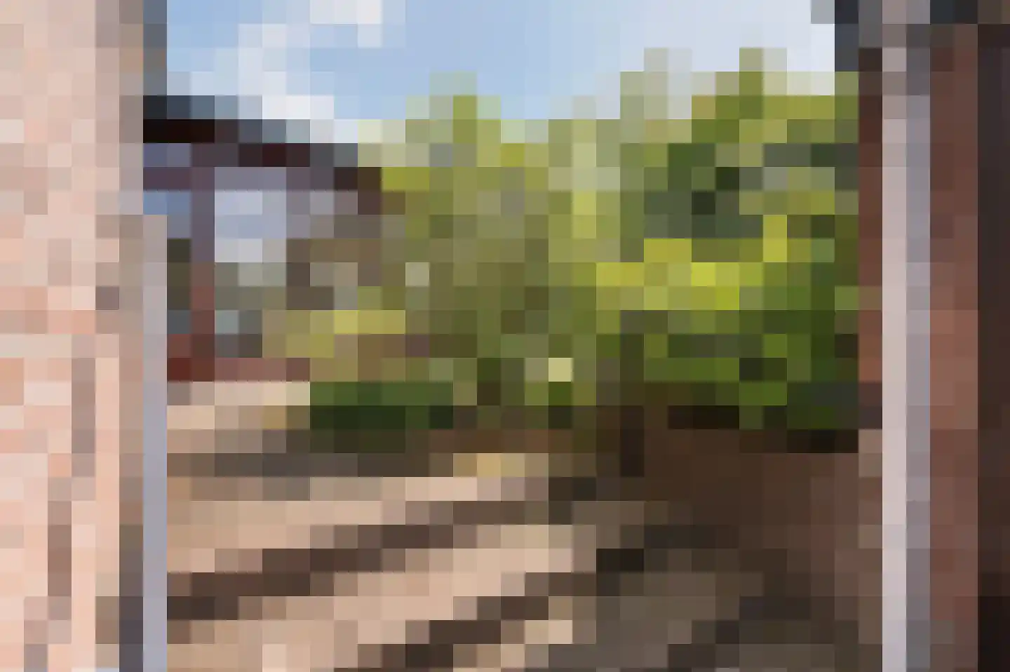 Schlatmaeckerstraat 7 Nijmegen thumbnail 36