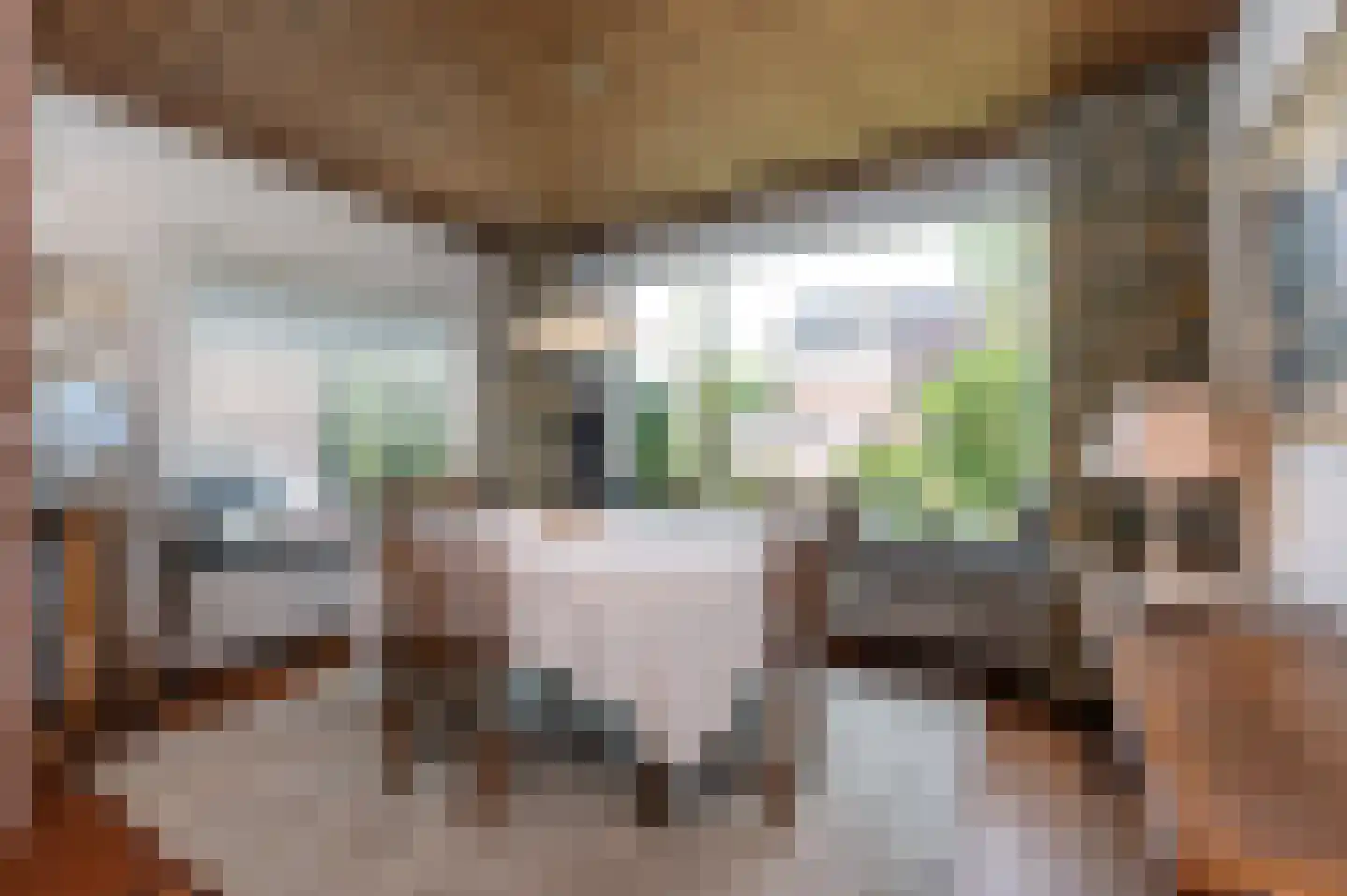 Schlatmaeckerstraat 7 Nijmegen thumbnail 6