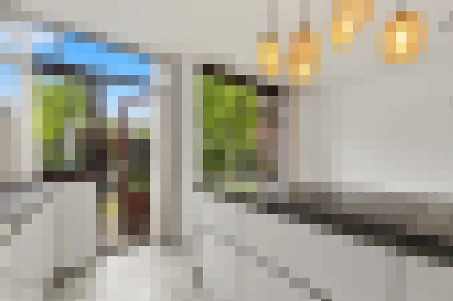 Schlegelstraat 104 Den Haag thumbnail 14