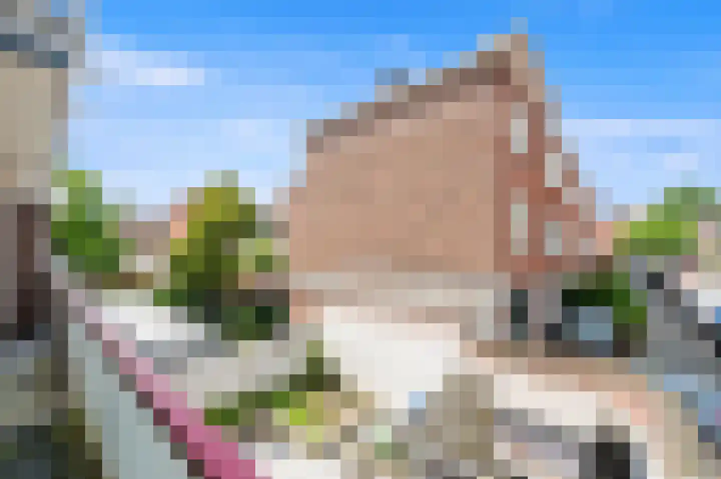 Schlegelstraat 129 Den Haag thumbnail 19