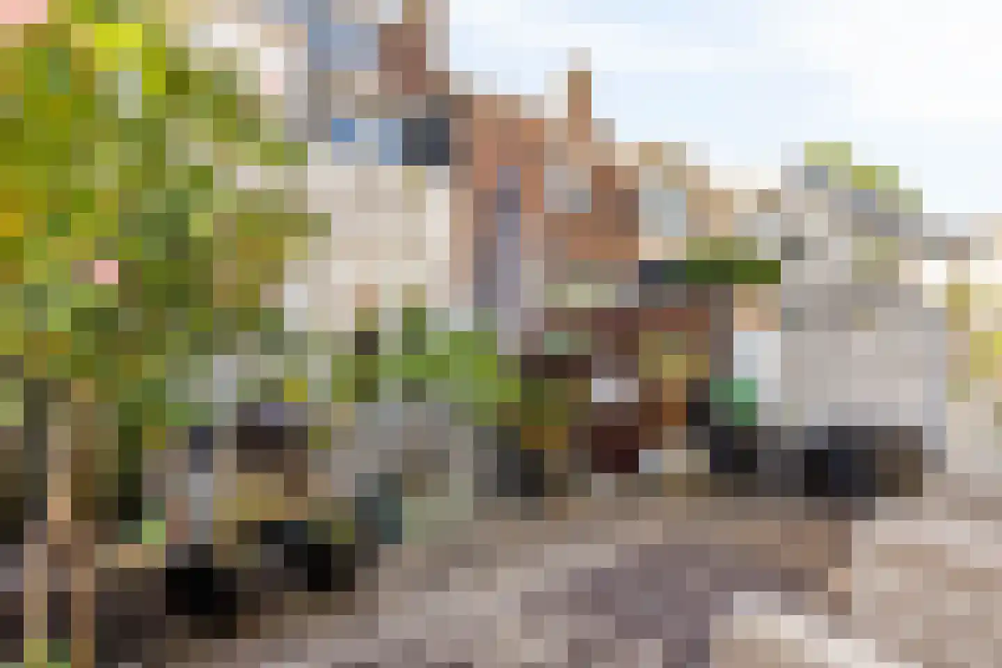 Schlegelstraat 175 Den Haag thumbnail 31