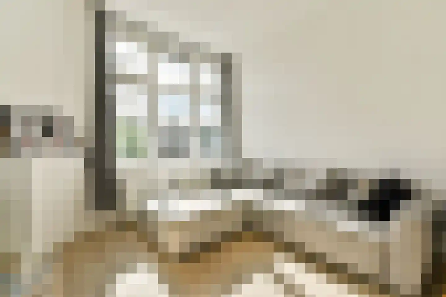 Schlegelstraat 36 Den Haag thumbnail 4