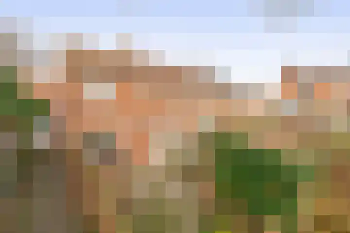 Schmeddingstraat 7 Nuth thumbnail 5