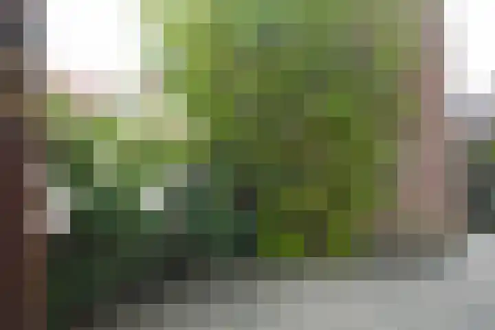 Schmeddingstraat 7 Nuth thumbnail 58