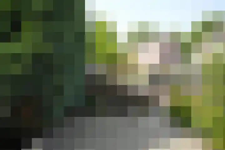 Schmeddingstraat 7 Nuth thumbnail 71