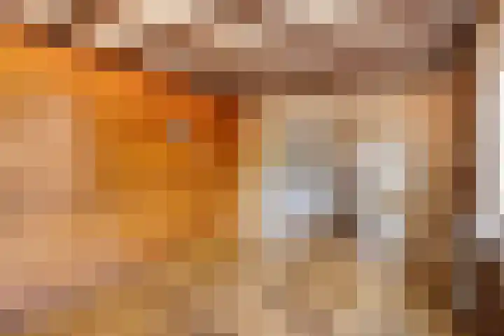 Schmitzstraat 9 Veen thumbnail 16