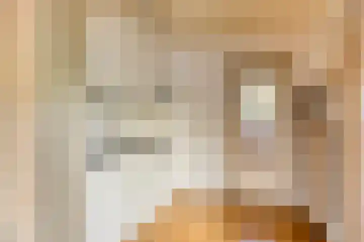 Schmitzstraat 9 Veen thumbnail 17