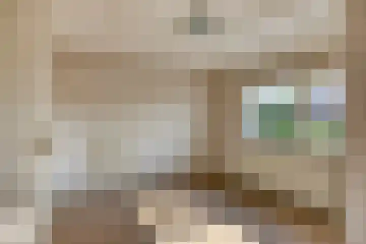 Schmitzstraat 9 Veen thumbnail 19