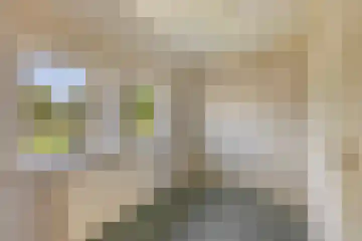 Schmitzstraat 9 Veen thumbnail 21