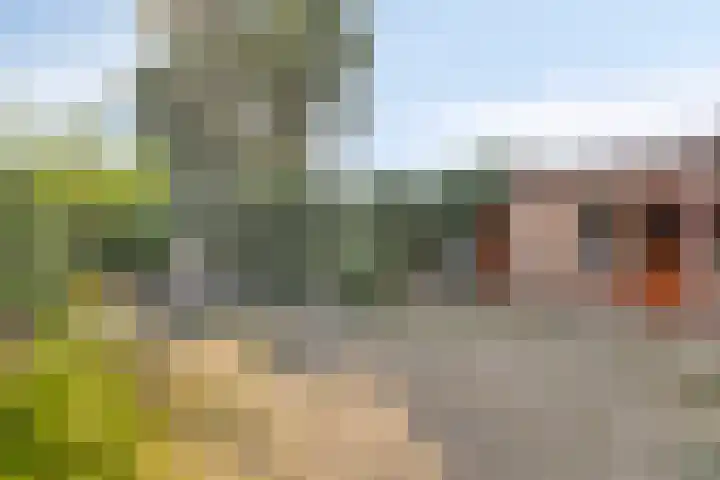 Schmitzstraat 9 Veen thumbnail 25