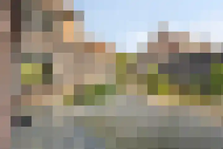 Schmitzstraat 9 Veen thumbnail 28