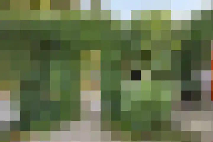 Schmitzstraat 9 Veen thumbnail 29