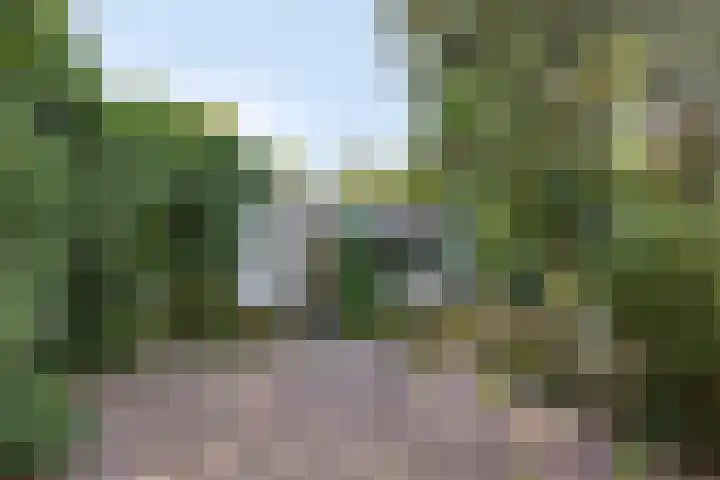 Schmitzstraat 9 Veen thumbnail 30