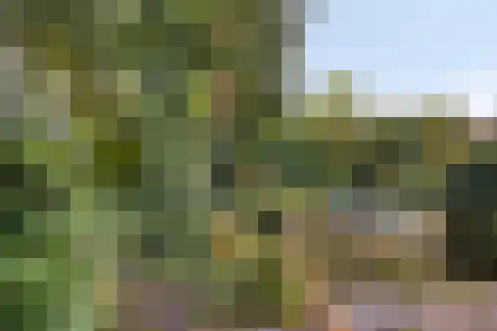 Schmitzstraat 9 Veen thumbnail 32