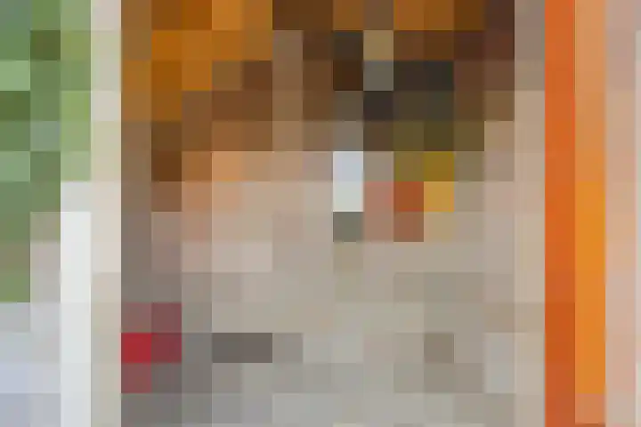 Schmitzstraat 9 Veen thumbnail 33