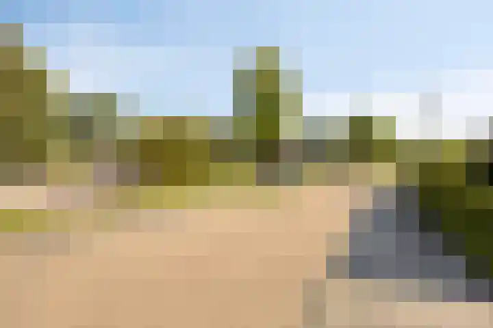 Schmitzstraat 9 Veen thumbnail 36