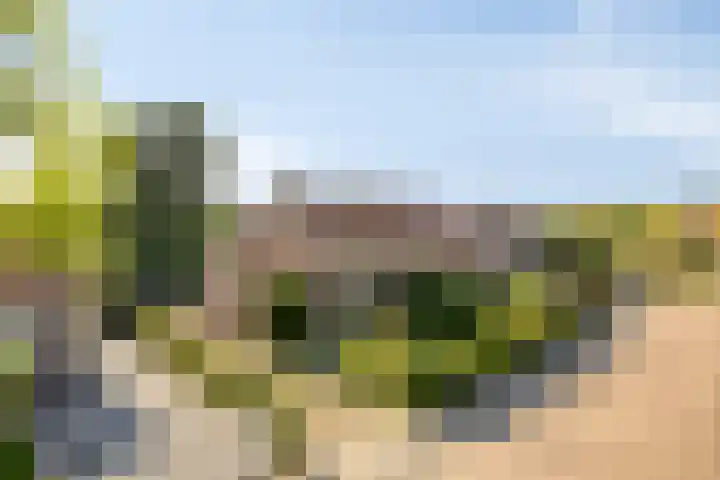 Schmitzstraat 9 Veen thumbnail 38