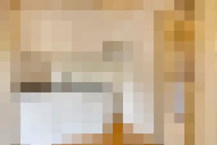 Schmitzstraat 9 Veen thumbnail 4