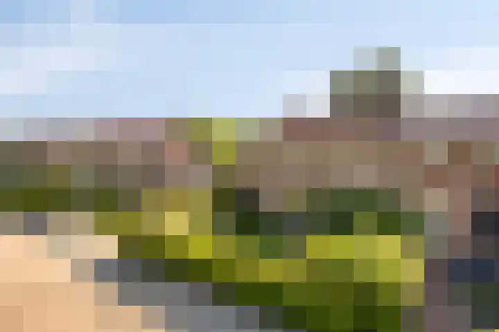 Schmitzstraat 9 Veen thumbnail 40