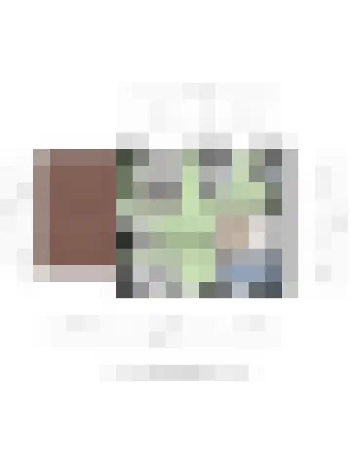 Schmitzstraat 9 Veen thumbnail 43