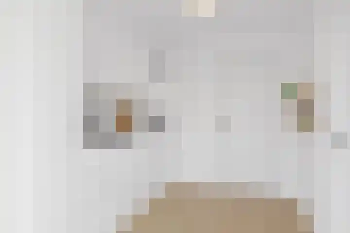 Schmitzstraat 9 Veen thumbnail 5