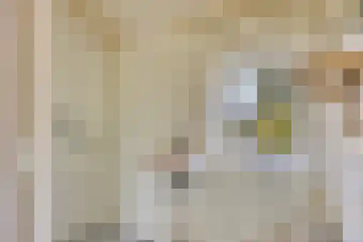 Schmitzstraat 9 Veen thumbnail 6
