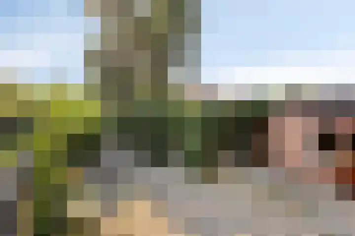 Schmitzstraat 9 Veen thumbnail 8