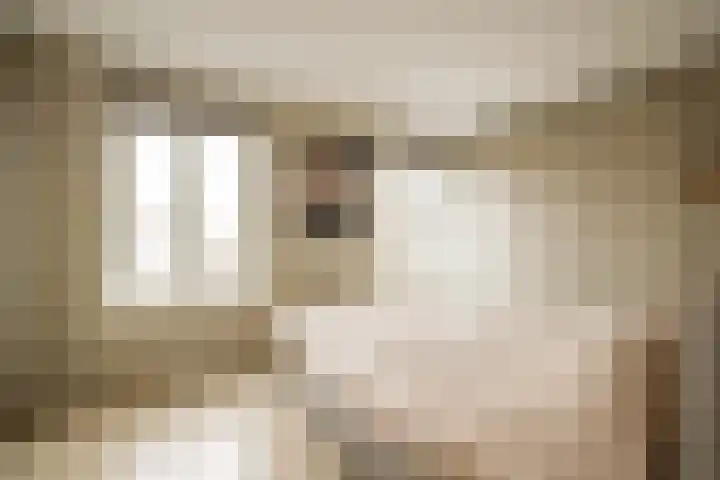 Schneevoogtstraat 1 A RD Haarlem thumbnail 31