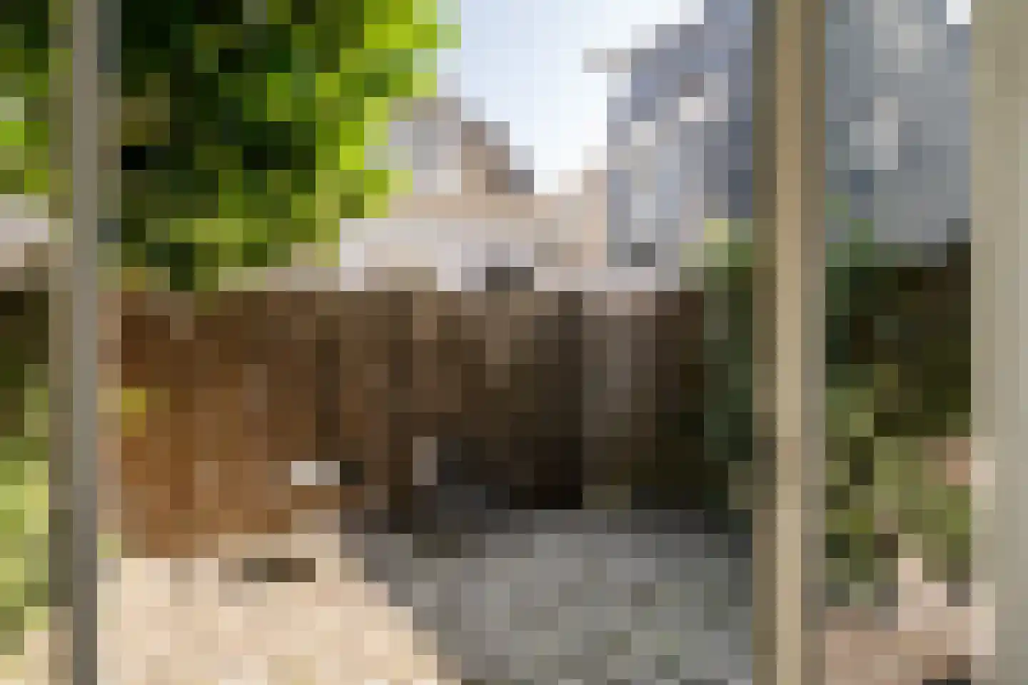 Schneevoogtstraat 13 ZW Haarlem thumbnail 32