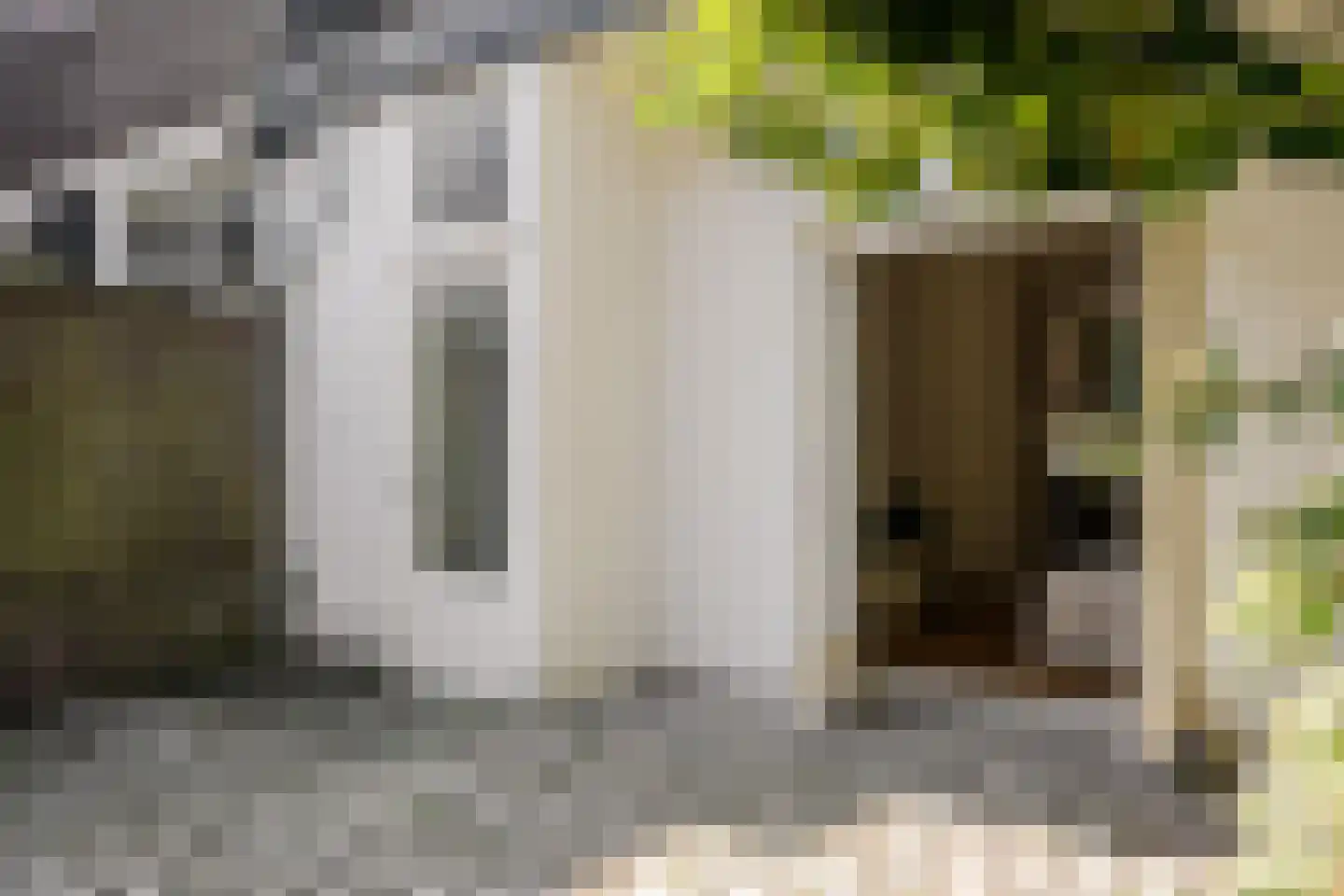 Schneevoogtstraat 13 ZW Haarlem thumbnail 33
