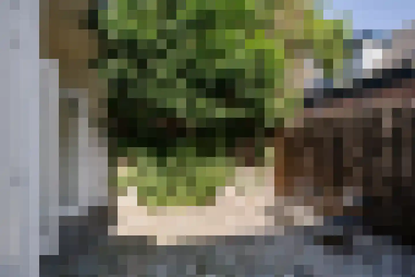 Schneevoogtstraat 13 ZW Haarlem thumbnail 34
