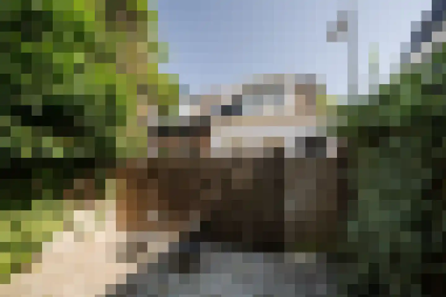 Schneevoogtstraat 13 ZW Haarlem thumbnail 36