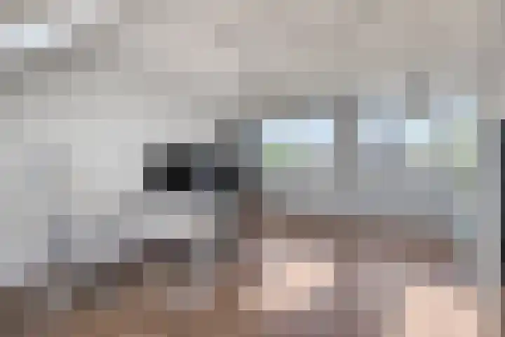 Schneiderstraat 46 Hengelo thumbnail 28