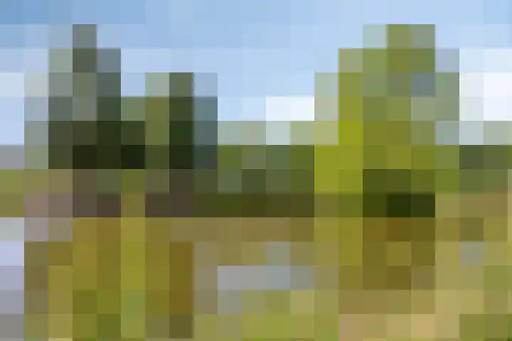 Schneiderstraat 46 Hengelo thumbnail 41