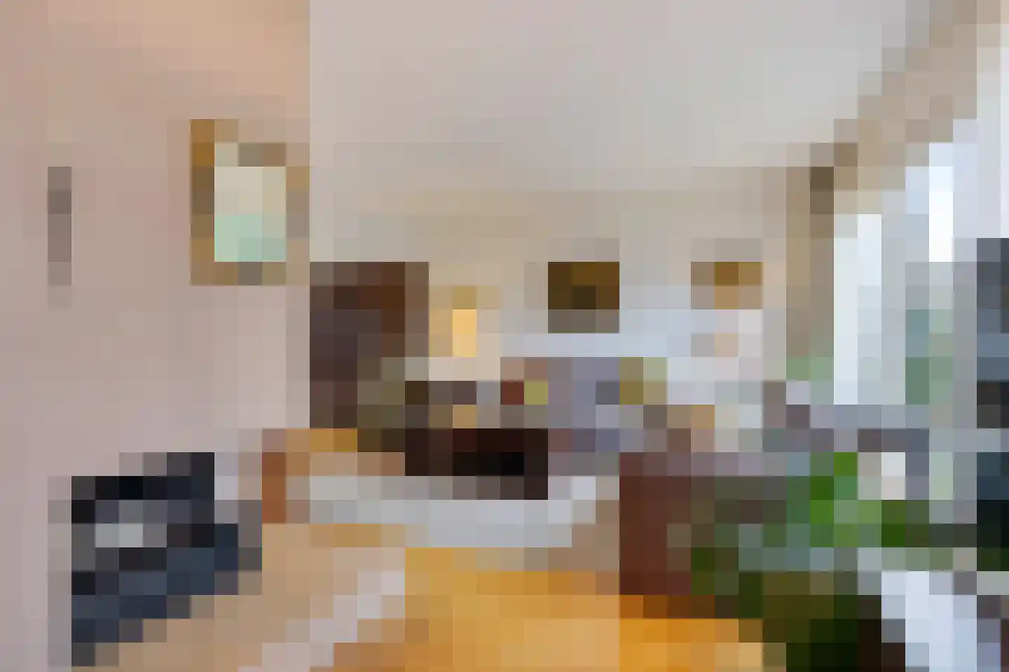Schneiderstraat 7 Hengelo thumbnail 11
