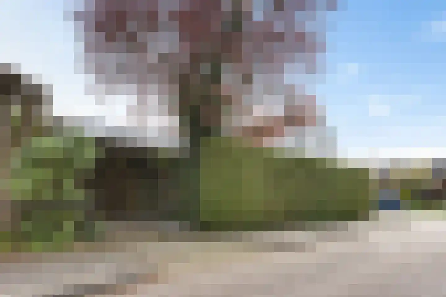 Schneiderstraat 7 Hengelo thumbnail 27