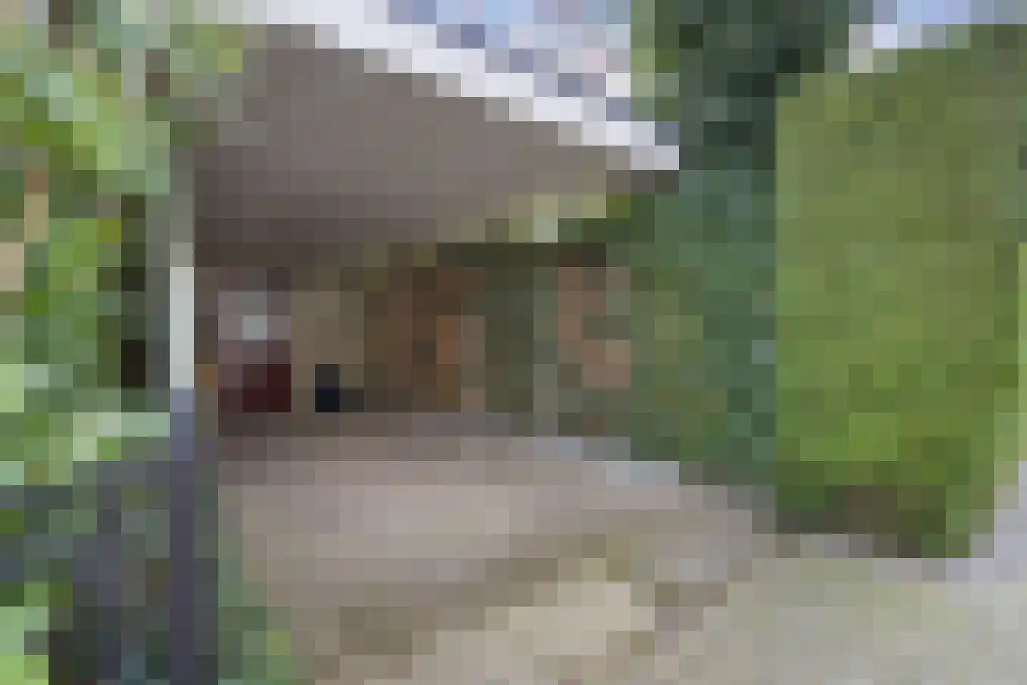 Schneiderstraat 7 Hengelo thumbnail 6
