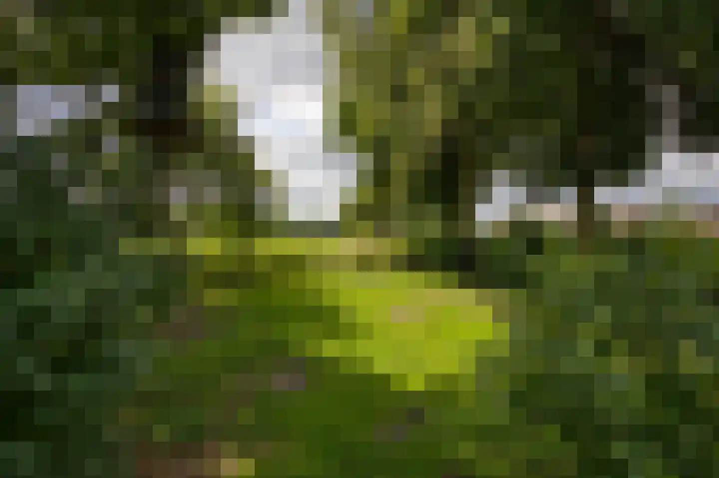 Schobbertsweg 9 Emst thumbnail 43
