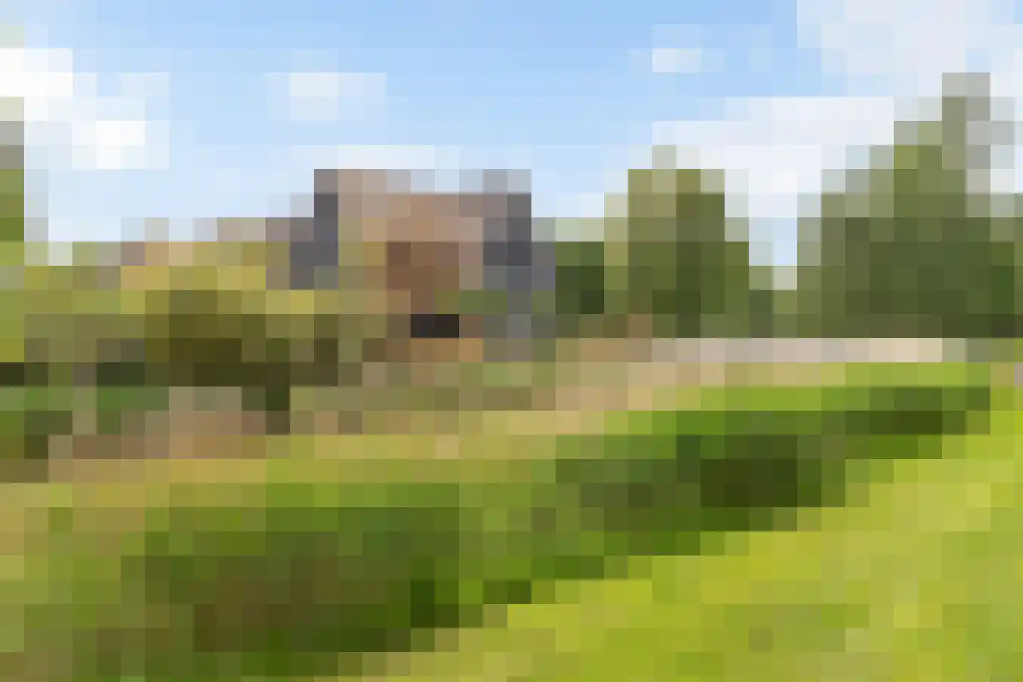 Schoeimes 10 dans Hooglanderveen