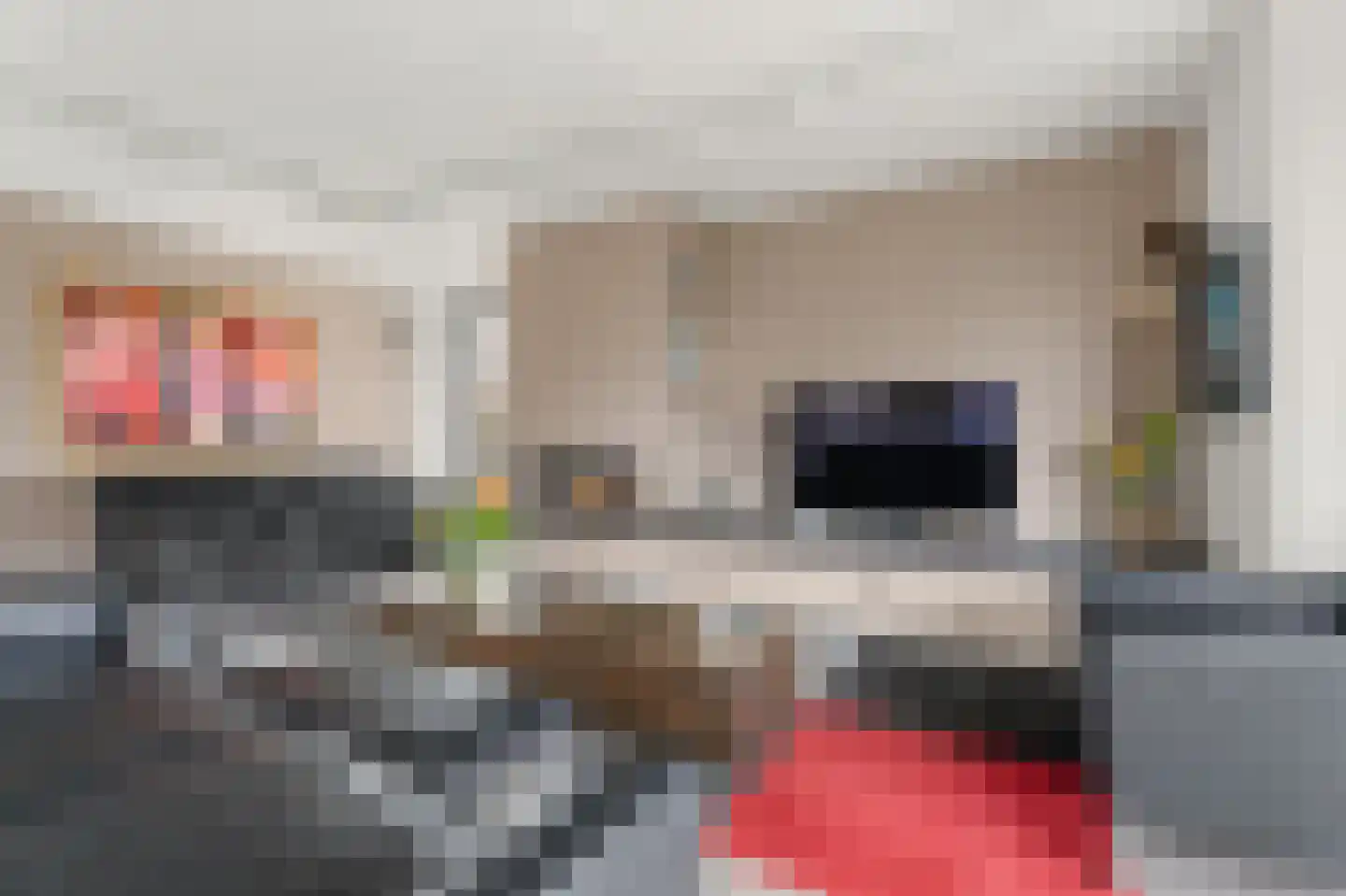 Schoeimes 10 Hooglanderveen thumbnail 11