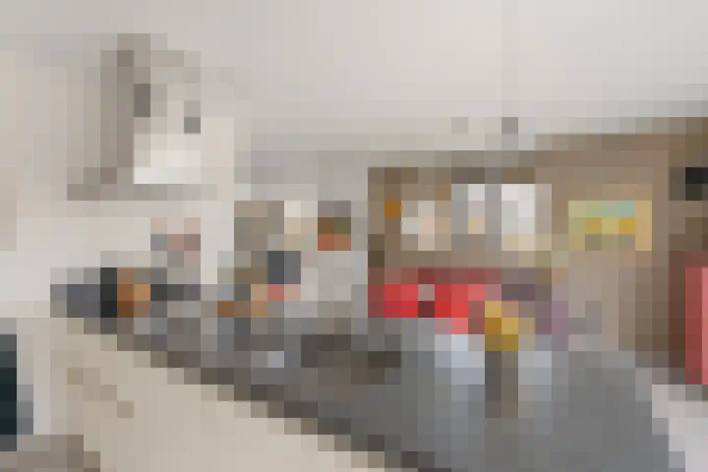Schoeimes 10 Hooglanderveen thumbnail 14
