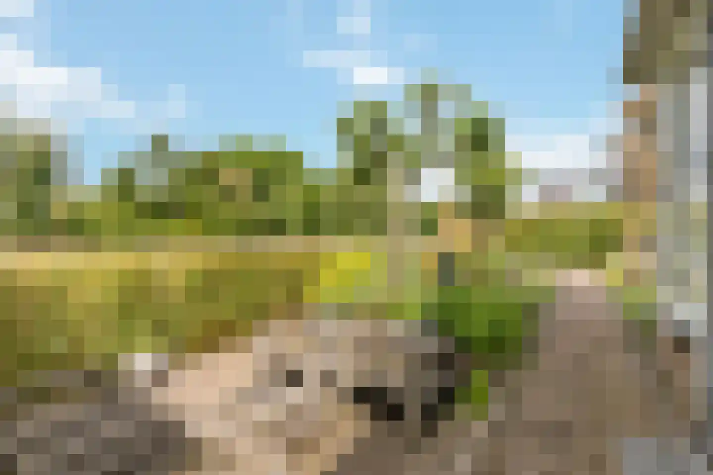 Schoeimes 10 Hooglanderveen thumbnail 16