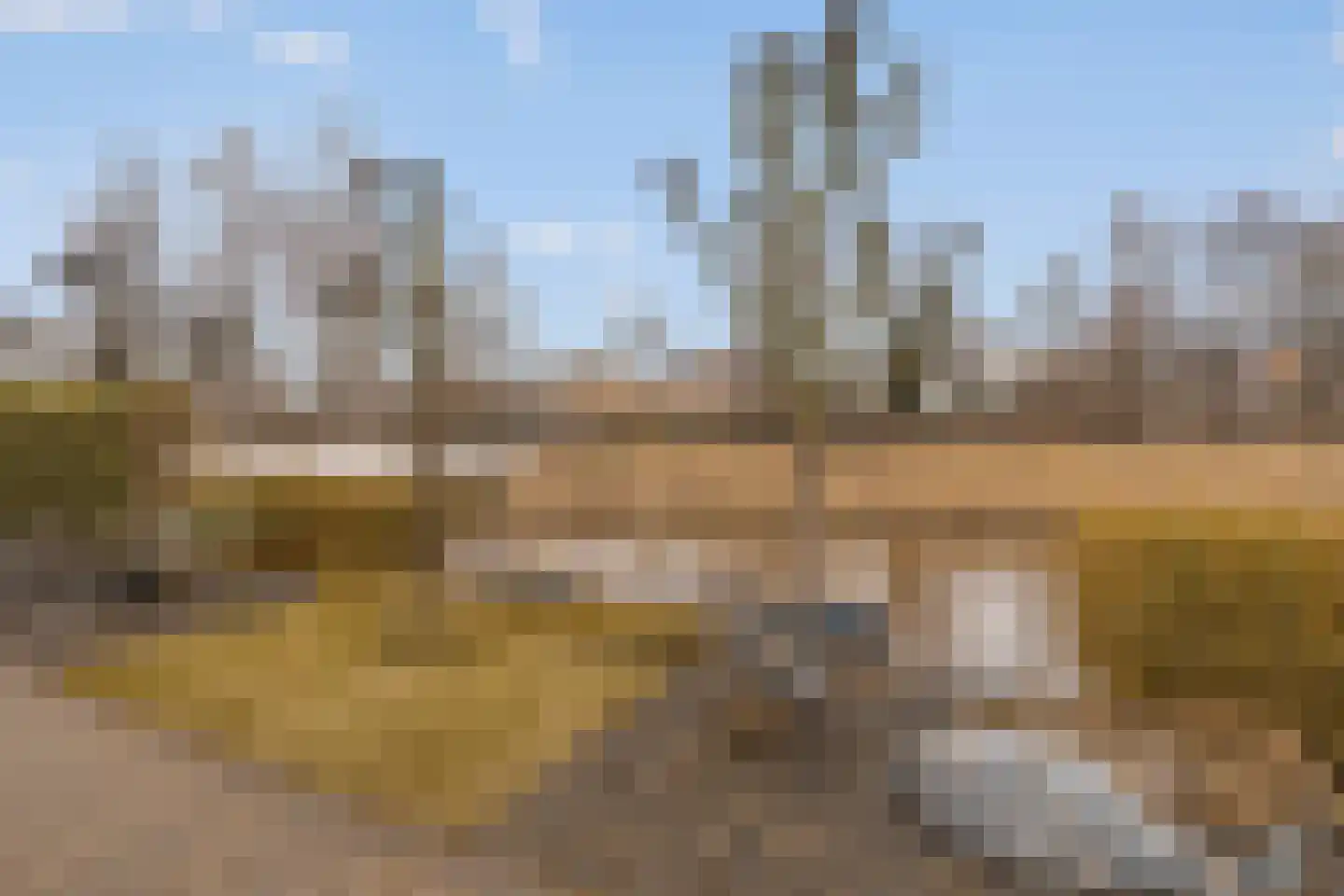Schoeimes 10 Hooglanderveen thumbnail 17