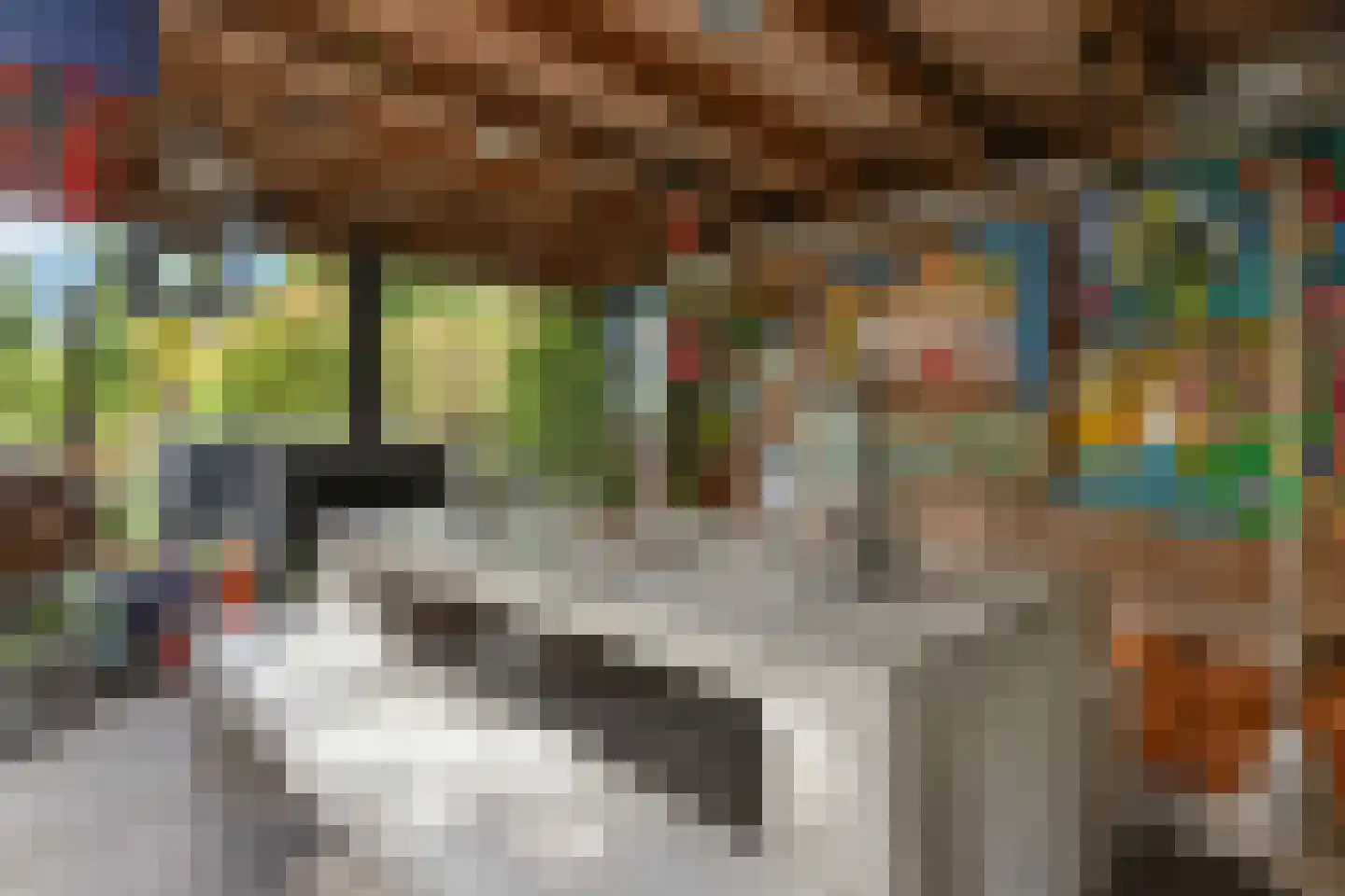 Schoeimes 10 Hooglanderveen thumbnail 18