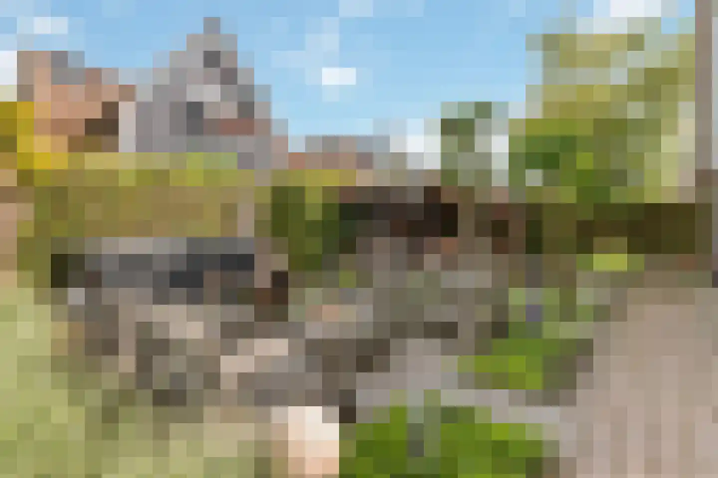 Schoeimes 10 Hooglanderveen thumbnail 19