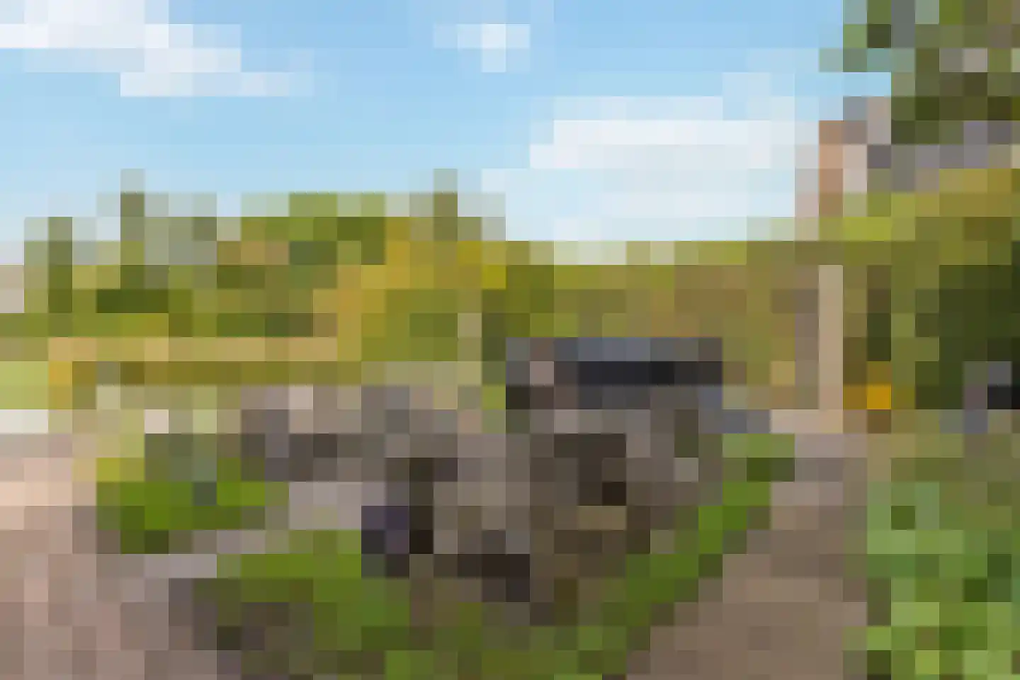Schoeimes 10 Hooglanderveen thumbnail 20