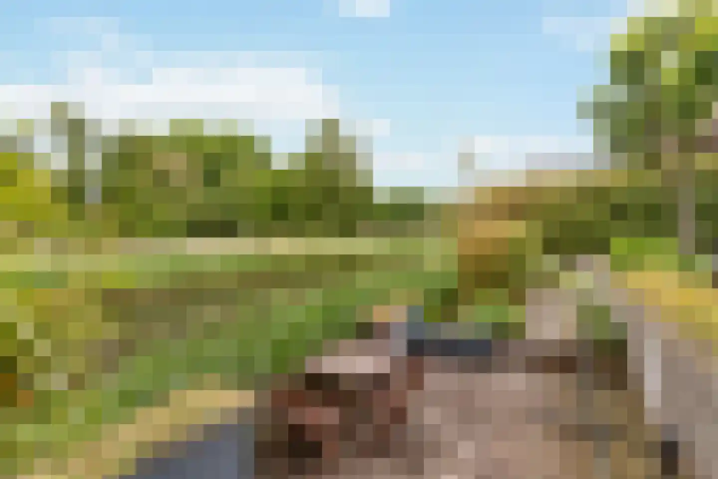 Schoeimes 10 Hooglanderveen thumbnail 21