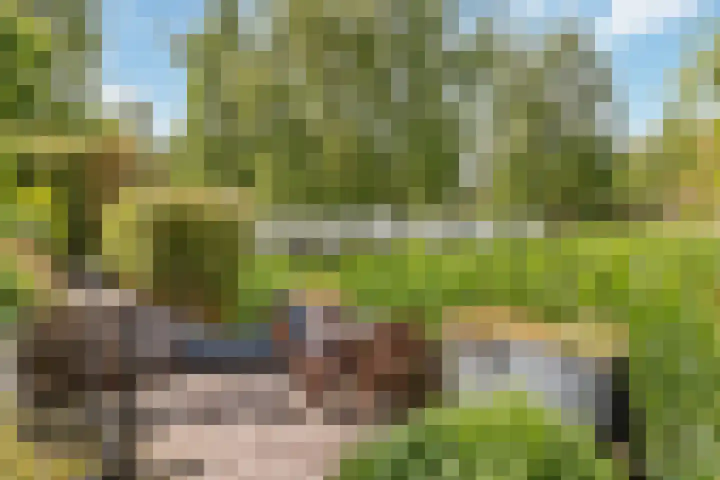 Schoeimes 10 Hooglanderveen thumbnail 22