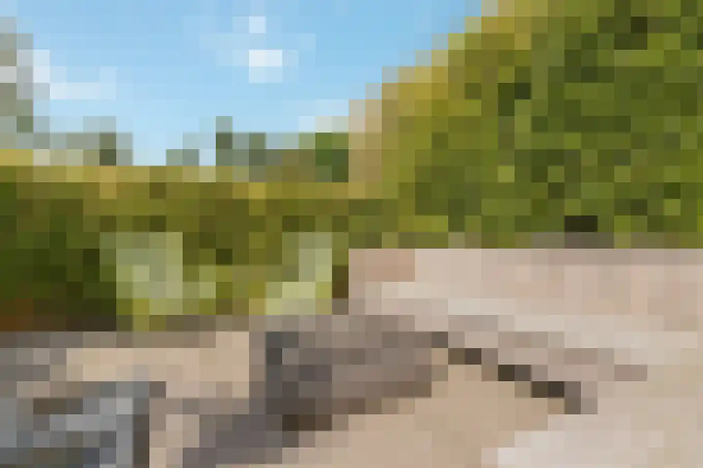 Schoeimes 10 Hooglanderveen thumbnail 23