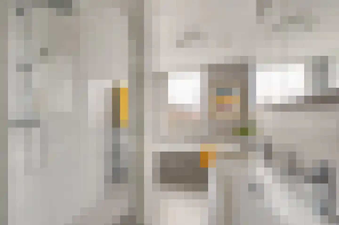 Schoeimes 10 Hooglanderveen thumbnail 26